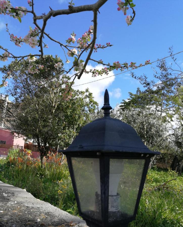 Albero Della Musica Bed & Breakfast Sassari Eksteriør bilde