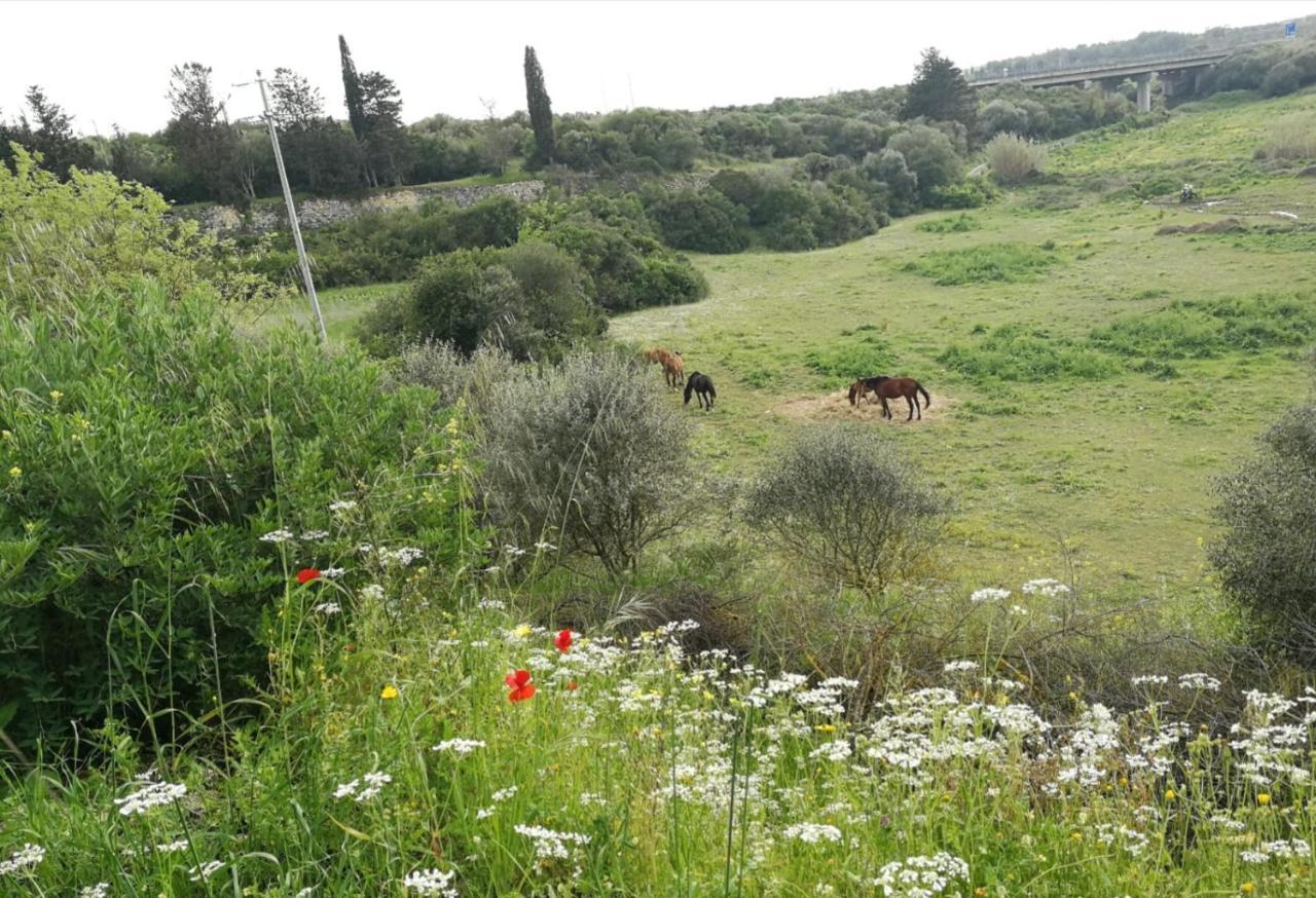 Albero Della Musica Bed & Breakfast Sassari Eksteriør bilde