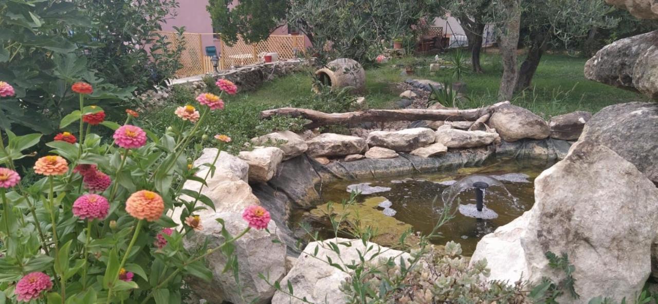 Albero Della Musica Bed & Breakfast Sassari Eksteriør bilde