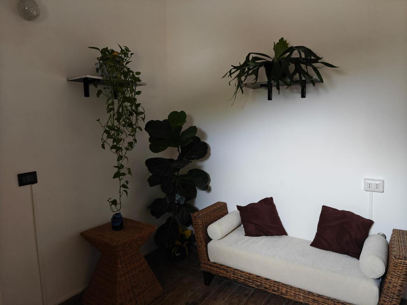 Albero Della Musica Bed & Breakfast Sassari Eksteriør bilde